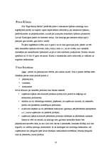 Referāts 'Uzņēmuma mārketinga analīze', 16.