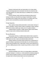 Referāts 'Uzņēmuma mārketinga analīze', 18.