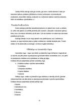 Referāts 'Uzņēmuma mārketinga analīze', 19.