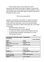 Referāts 'Uzņēmuma mārketinga analīze', 20.