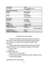 Referāts 'Uzņēmuma mārketinga analīze', 21.