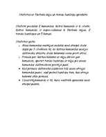 Konspekts 'Trīs stafetes vieglatlētikā 12.klasei', 4.