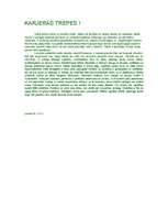 Eseja 'Karjeras kāpnes', 1.