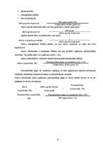 Prakses atskaite 'Prakses atskaite a/s "Liepājas Metalurgs"', 19.