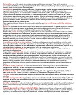 Konspekts 'Organizāciju teorija un vadība. Eksāmena atbildes', 8.