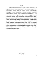 Referāts 'Kultūras definēšanas daudzveidība. Etnogrāfija', 2.