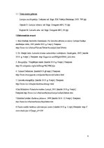 Referāts 'Kultūras definēšanas daudzveidība. Etnogrāfija', 9.