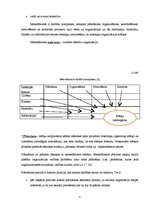 Referāts 'Vadīšanas stili un metodes', 4.