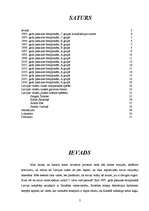 Referāts 'Latvijas vīriešu hokeja izlases sasniegumi pēc neatkarības atgūšanas', 2.