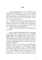 Referāts 'Kultūras funkcijas', 2.