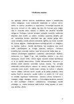 Referāts 'Kultūras funkcijas', 4.