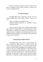 Referāts 'Kultūras funkcijas', 5.