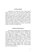 Referāts 'Kultūras funkcijas', 7.