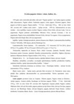 Referāts 'Valsts varas pamats - pašvaldības', 14.