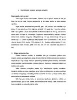 Referāts 'Viduslaiki Rīgā', 5.