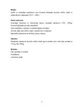 Referāts 'Patriotisms', 4.