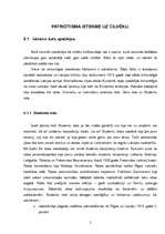 Referāts 'Patriotisms', 5.