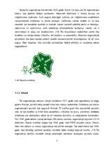 Referāts 'Patriotisms', 8.