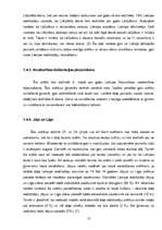 Referāts 'Patriotisms', 13.