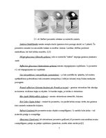 Prezentācija 'V-ray rendera materiālu izveidošana, iestatīšana un pielietošana 3DS Max program', 7.