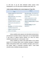 Referāts 'Politisko lēmumu novērtēšanas vairāklīmeņu imitāciju modelēšana', 13.