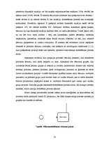 Referāts 'Politisko lēmumu novērtēšanas vairāklīmeņu imitāciju modelēšana', 28.