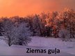 Prezentācija 'Ziemas guļa', 1.