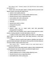 Referāts 'Naudas līdzekļi, to uzskaite', 5.