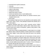 Referāts 'Naudas līdzekļi, to uzskaite', 6.