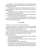 Referāts 'Naudas līdzekļi, to uzskaite', 7.