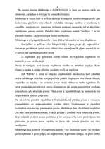 Referāts 'Mārketinga raksturojums', 6.