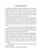 Referāts 'Mārketinga raksturojums', 8.