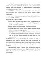 Referāts 'Mārketinga raksturojums', 9.