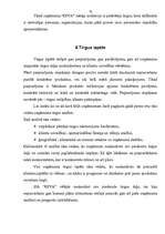 Referāts 'Mārketinga raksturojums', 10.