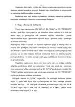 Referāts 'Mārketinga raksturojums', 11.