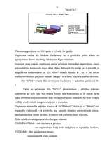 Referāts 'Mārketinga raksturojums', 12.