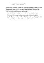 Referāts 'Mārketinga raksturojums', 13.