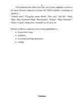 Referāts 'Mārketinga raksturojums', 19.