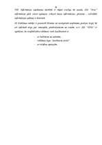 Referāts 'Mārketinga raksturojums', 29.