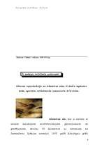 Referāts 'Pasaules kultūras vēsture', 9.