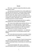 Konspekts 'WEB kamera', 3.