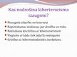 Prezentācija 'Kiberterorisms', 8.