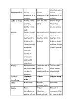 Referāts 'Kārlis Skalbe', 24.