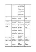 Referāts 'Kārlis Skalbe', 25.