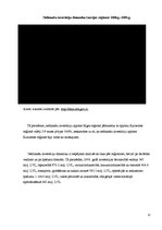 Referāts 'Nefinašu investīcijas. Rīgas reģions', 12.