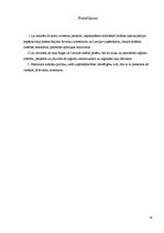 Referāts 'Nefinašu investīcijas. Rīgas reģions', 16.