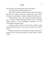 Referāts 'Uzņēmuma darbības plānošanas organizācija', 2.