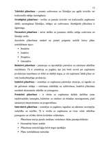 Referāts 'Uzņēmuma darbības plānošanas organizācija', 12.