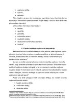 Referāts 'Finanšu pārskatu analīze organizācijas SIA “X”', 8.