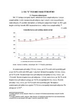Referāts 'Finanšu pārskatu analīze organizācijas SIA “X”', 13.
